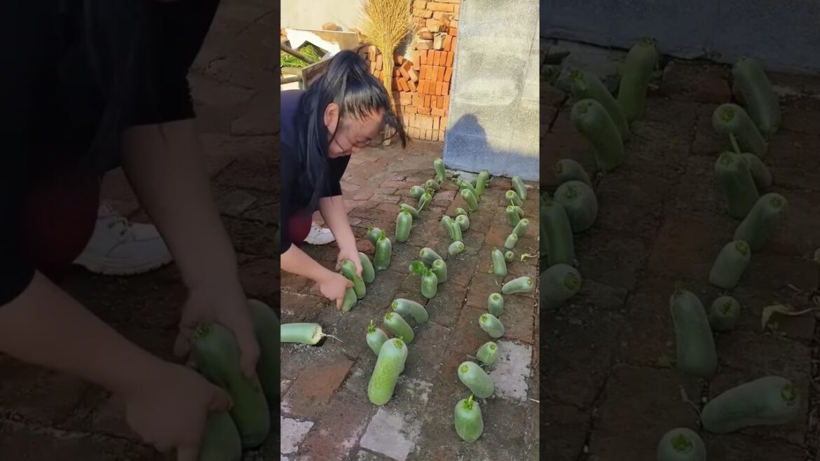 planting vegetables in a brick yard #garden #farming #vegetables #plants