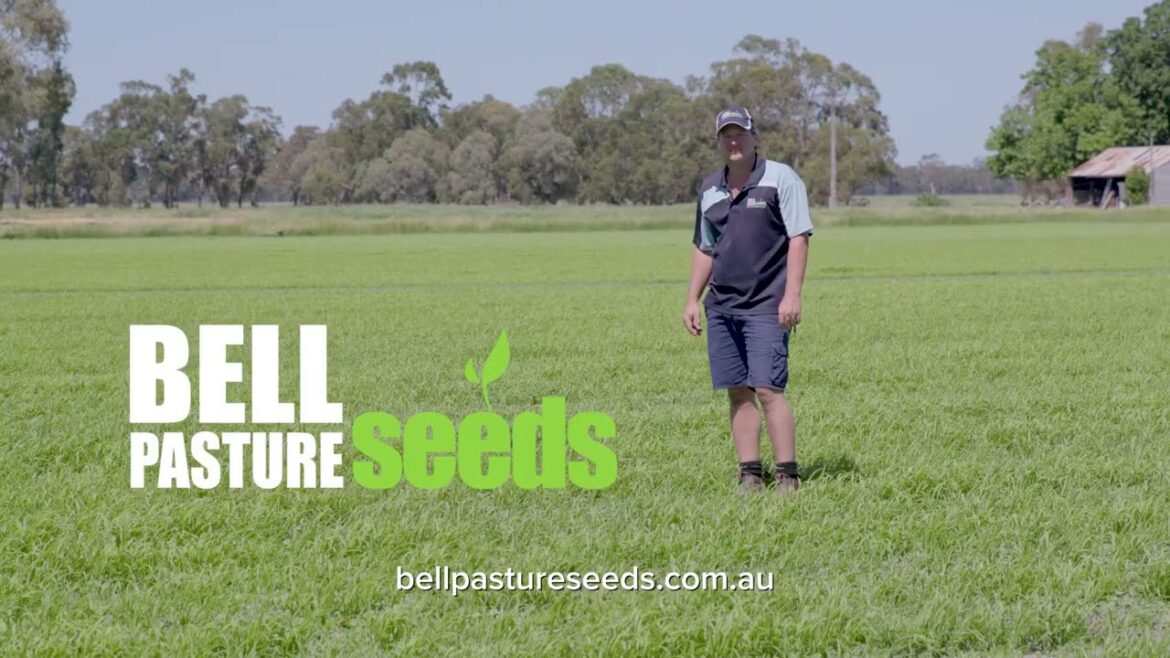 Meet Rob Bell (He Knows Seeds)