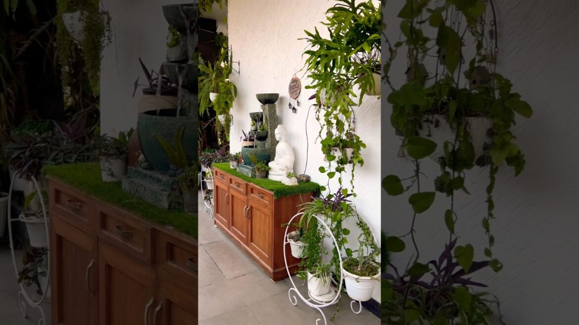 #home #gardening #plants #gardening tips #plants #indoorplants #homegardening #shorts