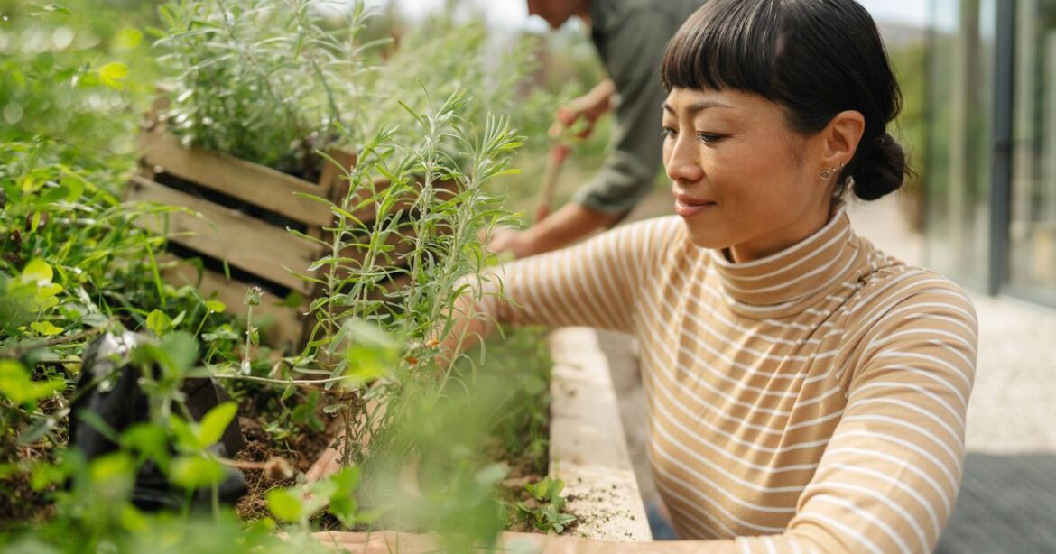 Gardening expert urges gardeners to complete one job now ‘for productive growing season’ Daily Mirror