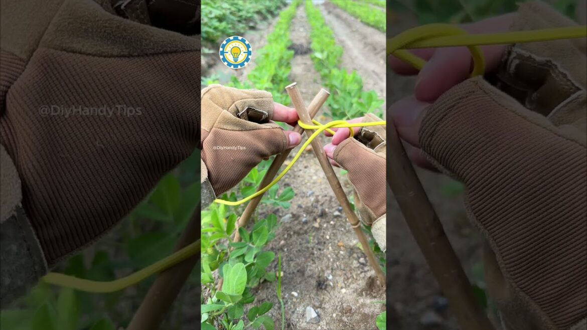 A GREAT Knot Every Gardener Should Know!