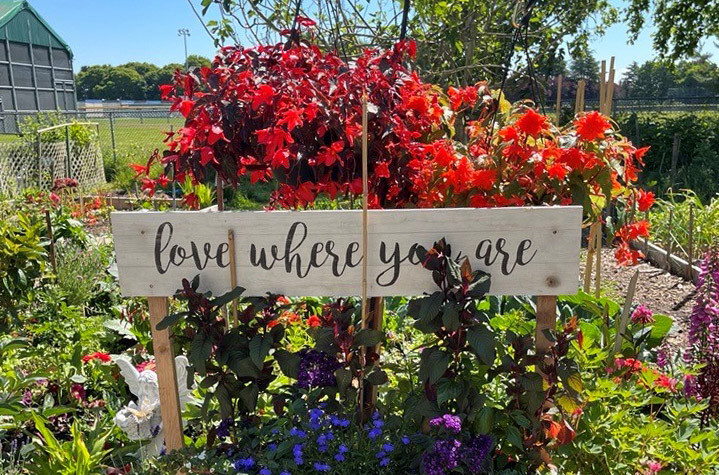 Community gardens are creating welcoming spaces for tenants Love where you are garden sign