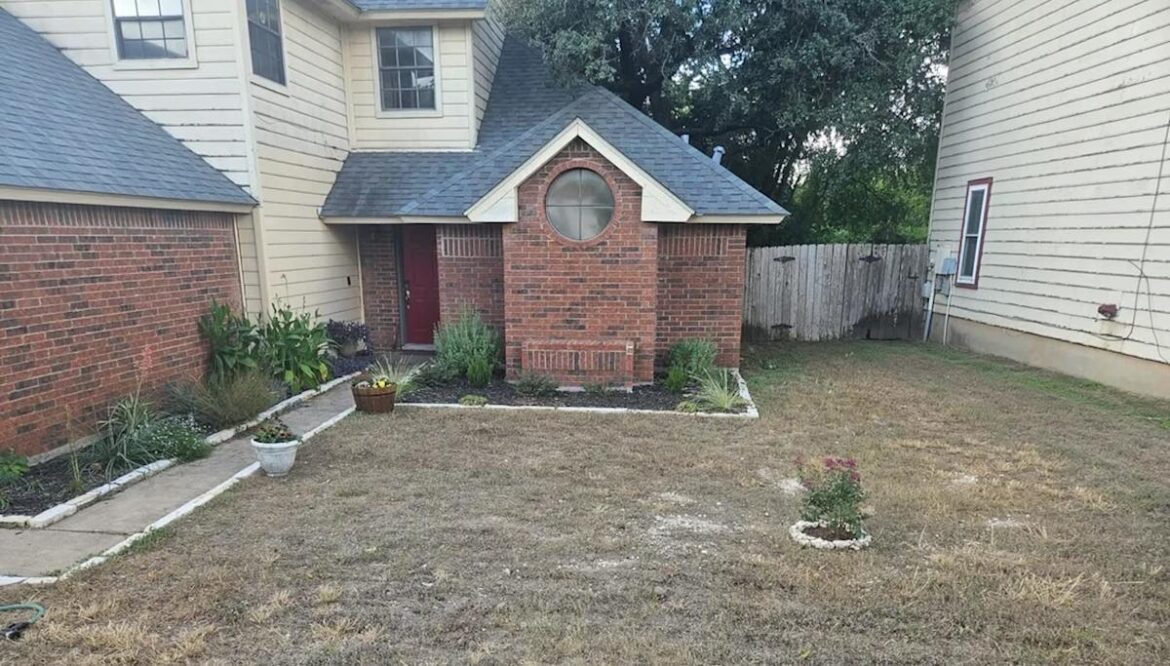 Homeowner shares stunning before-and-after images after ditching traditional grass lawn: 'Looks fantastic'