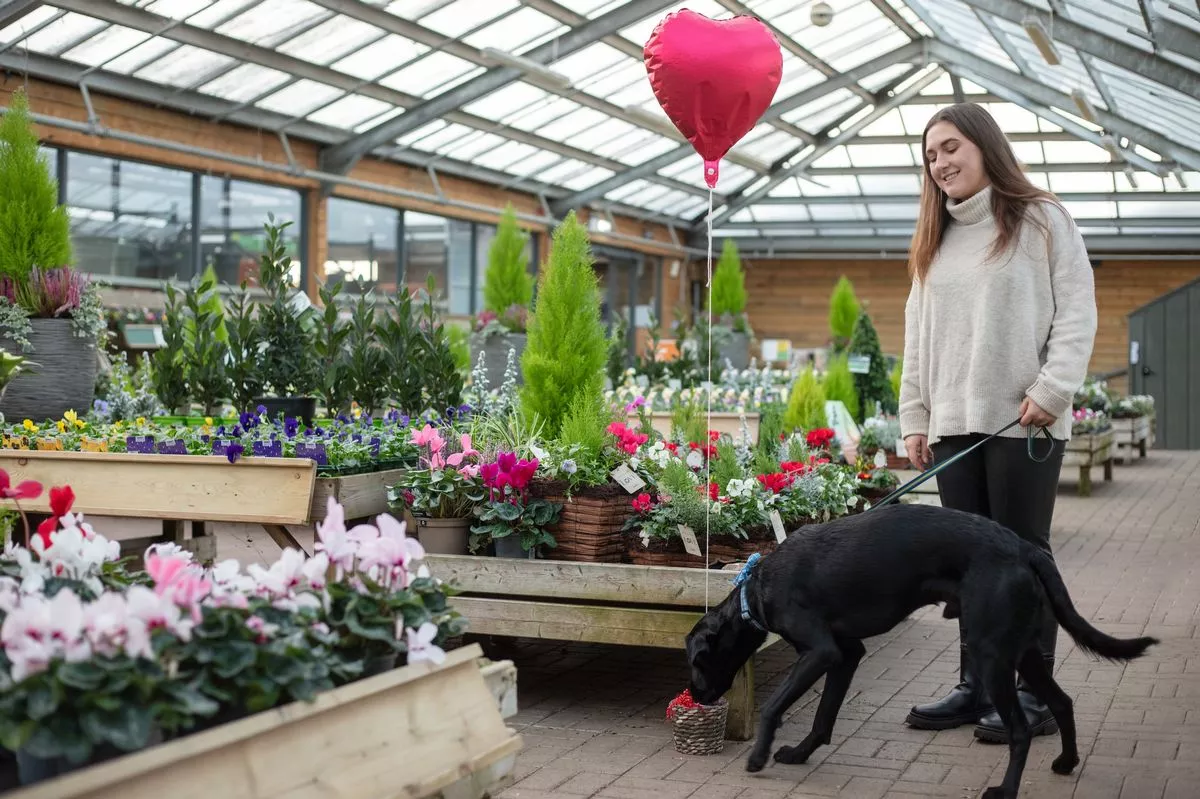 Dobbies Garden Centres is inviting pet parents to celebrate Valentine’s Day with their pets