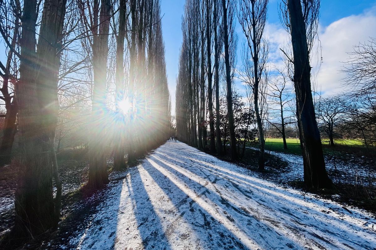Fletcher Moss Park & Parsonage Gardens, Didsbury