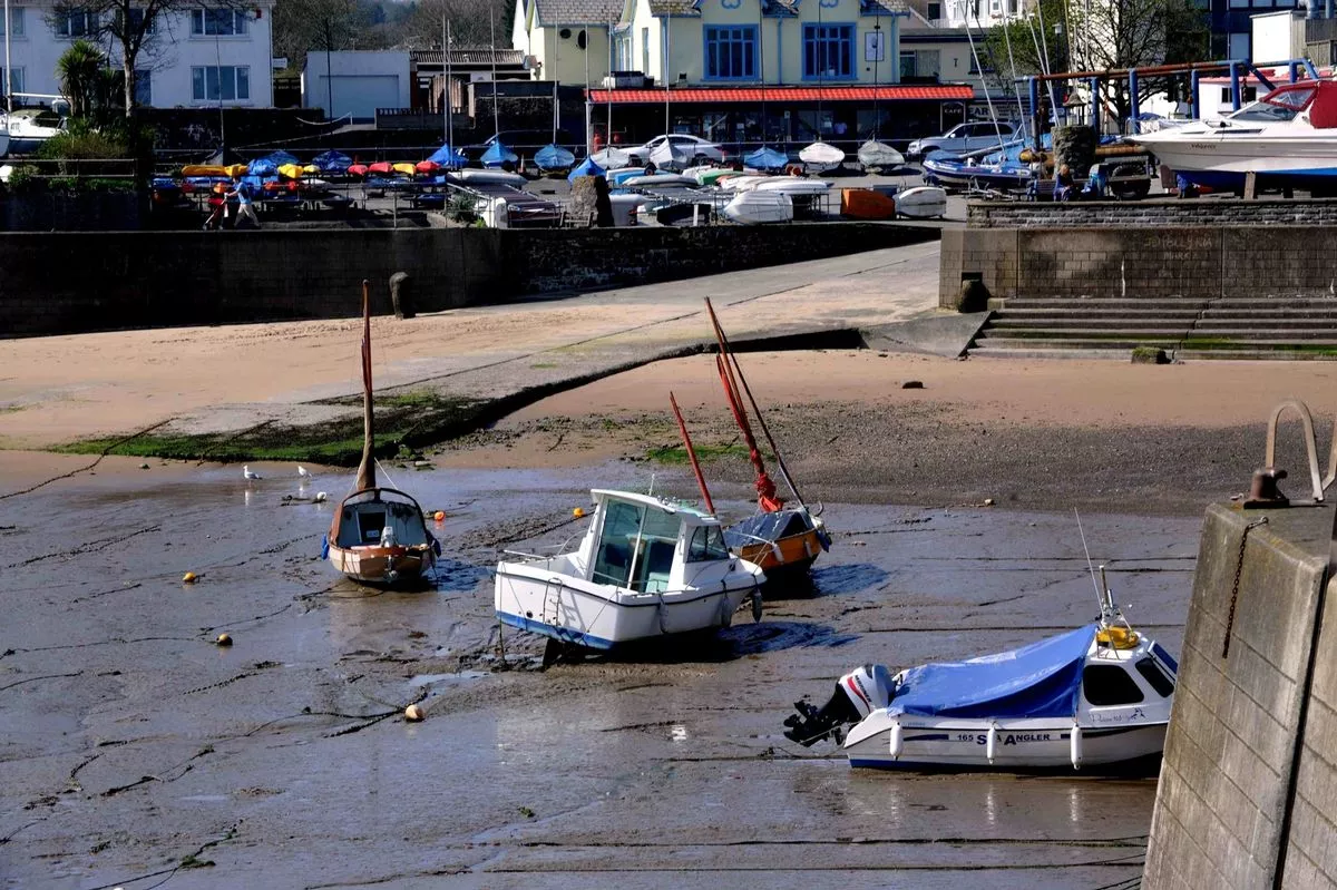A harbour with boats