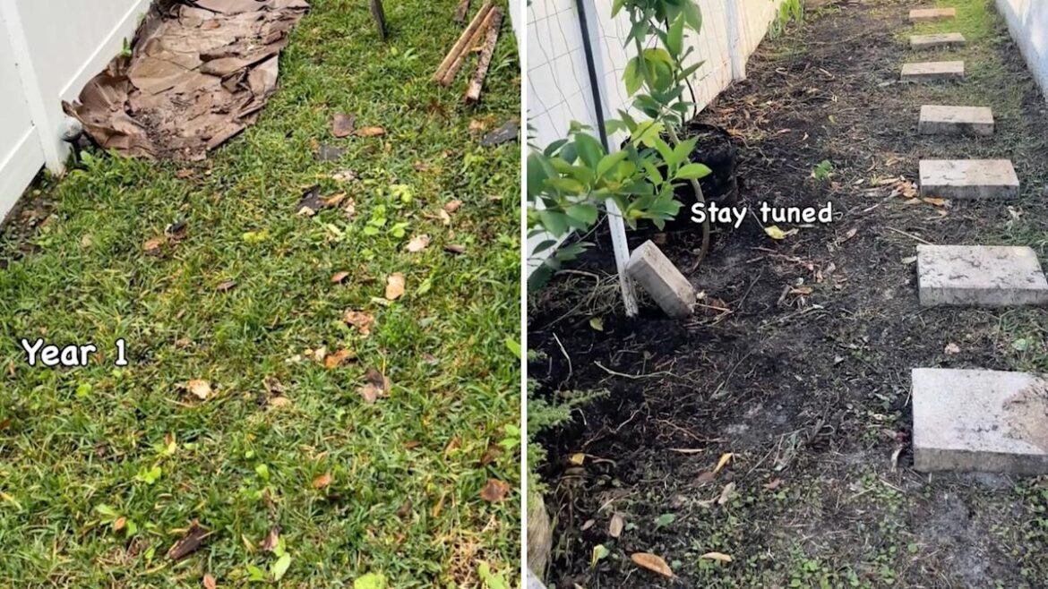 Homeowner shares before-and-after photos of major yard transformation: ‘It’s hard work’ Homeowner shares before-and-after photos of major yard transformation: 'It's hard work'