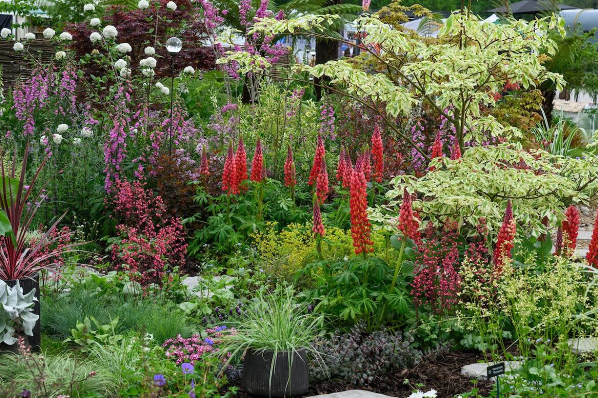Join free trip to a garden centre announced by parish council