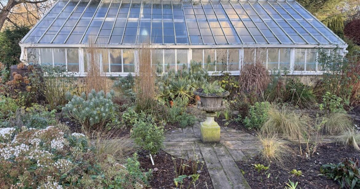 New Year advice for Norfolk gardeners
