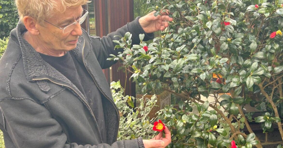 Geoff shares Sussex garden highlights to start the year