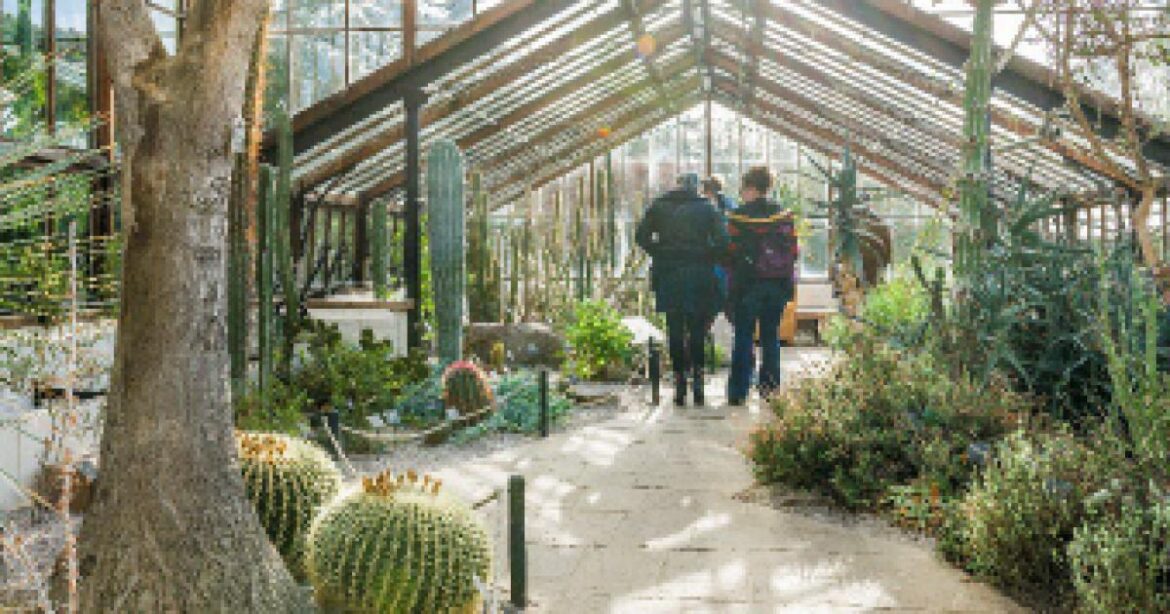 Talk to plants at Cambridge University Botanic Garden Talk to plants at Cambridge University Botanic Garden