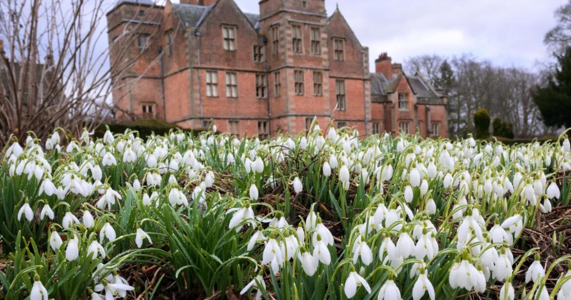 Kiplin Hall and Gardens to reopen for spring snowdrop strolls Kiplin Hall and Gardens to reopen for spring snowdrop strolls