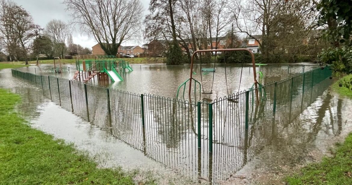 Gardeners urged to carry out vital tasks after Storm Chandra