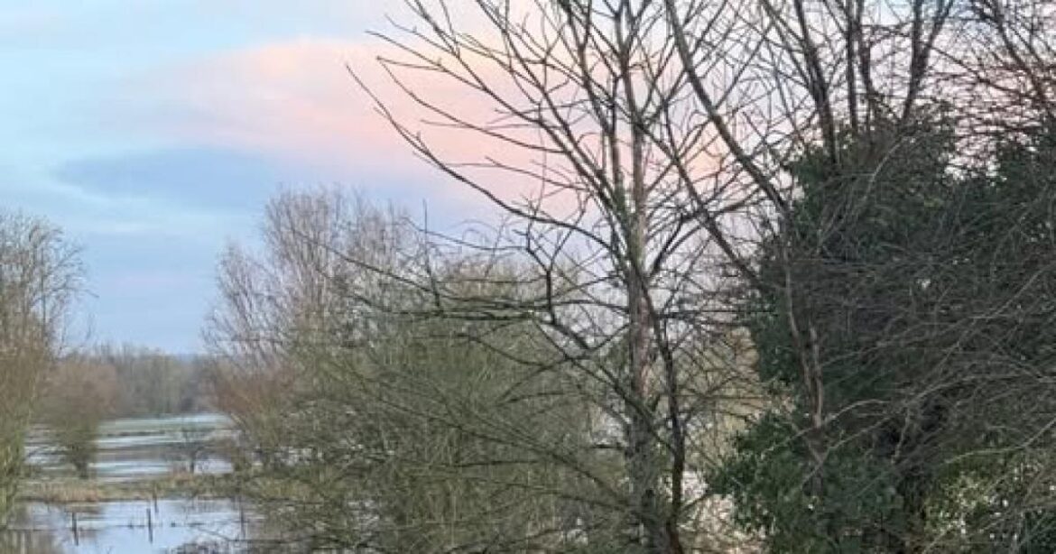 Gardeners World presenter Monty Don's flooded garden photo