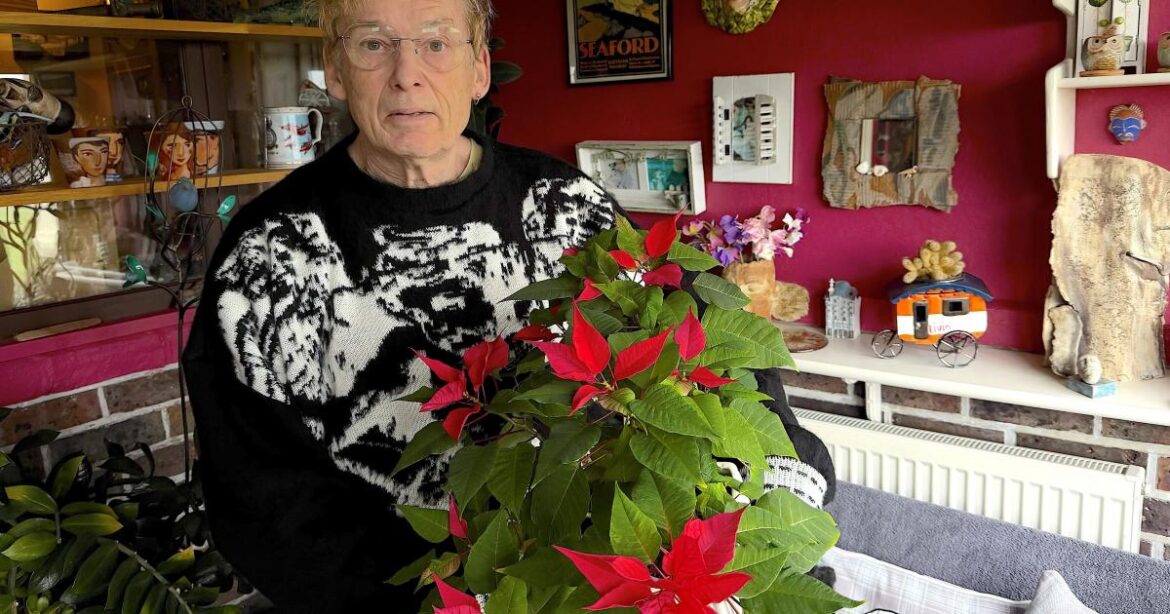 Poinsettia success and Sussex snowdrop gardens to visit Poinsettia success and Sussex snowdrop gardens to visit