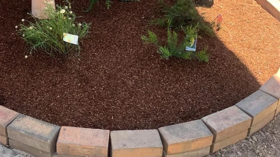 ‘Didn’t know it would go this far’ 'Didn't know it would go this far'