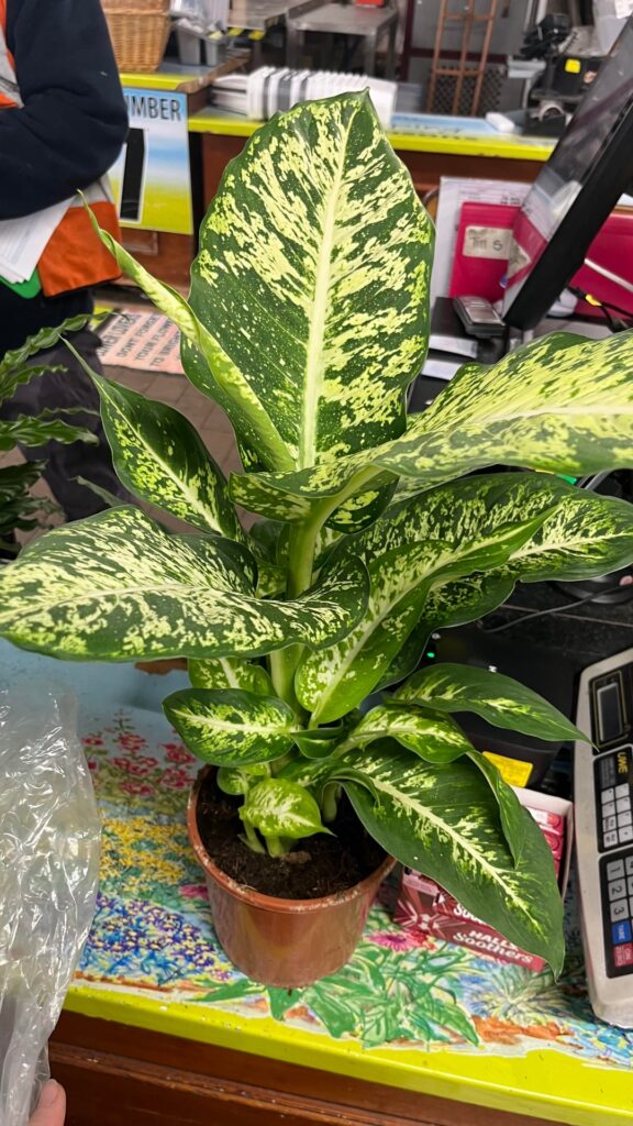 Does anyone know what’s going on here? Does anyone know what’s going on here?