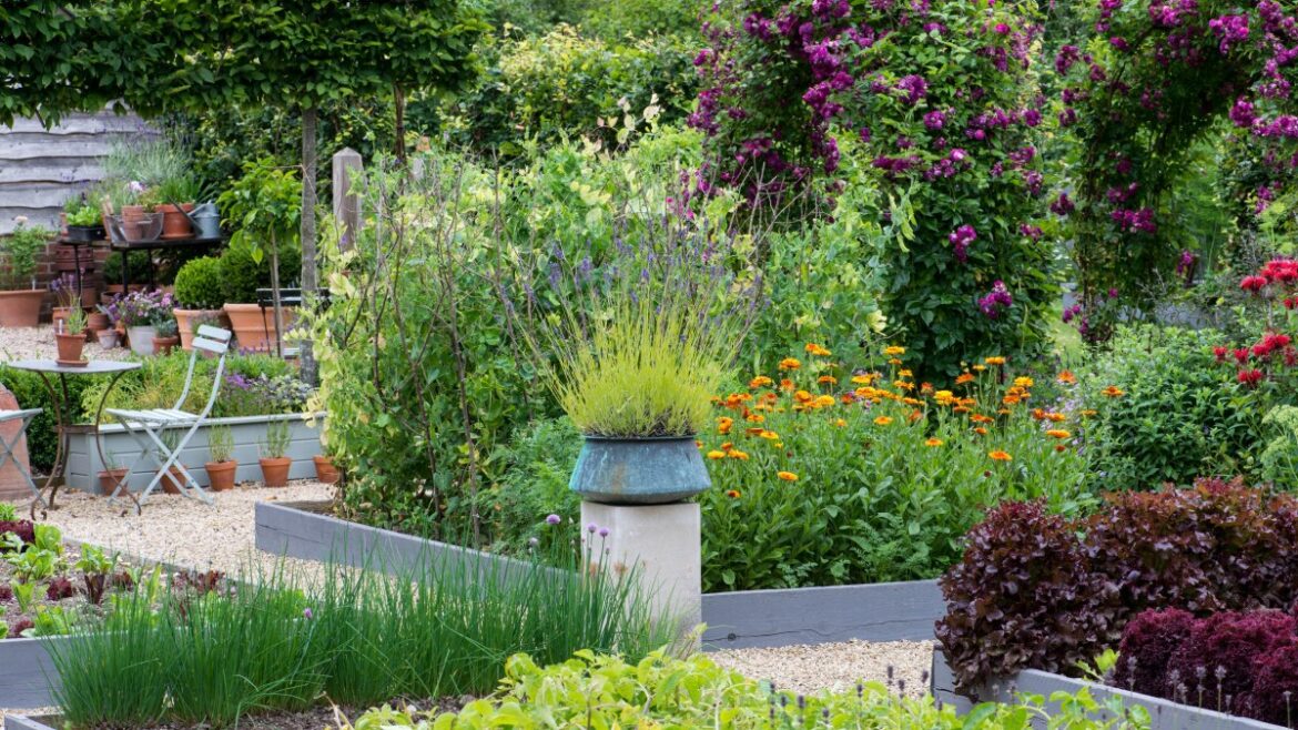 Raised beds and containers — the gardener’s easy guide