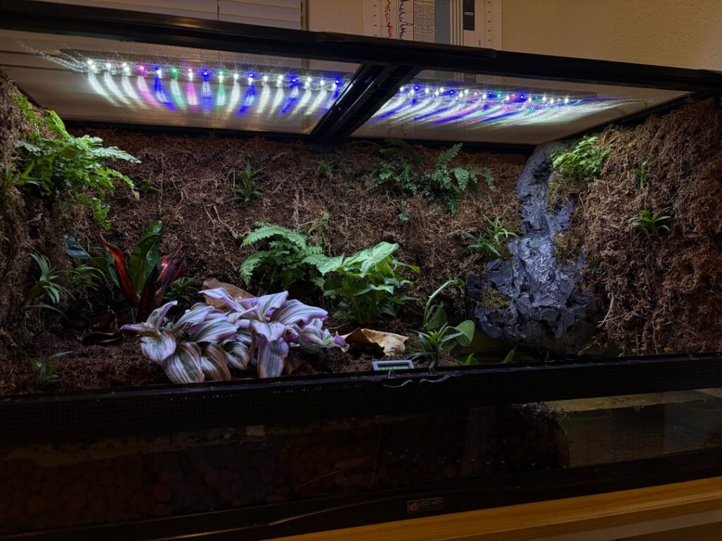 Finished my first vivarium! I can’t wait for it to grow in!