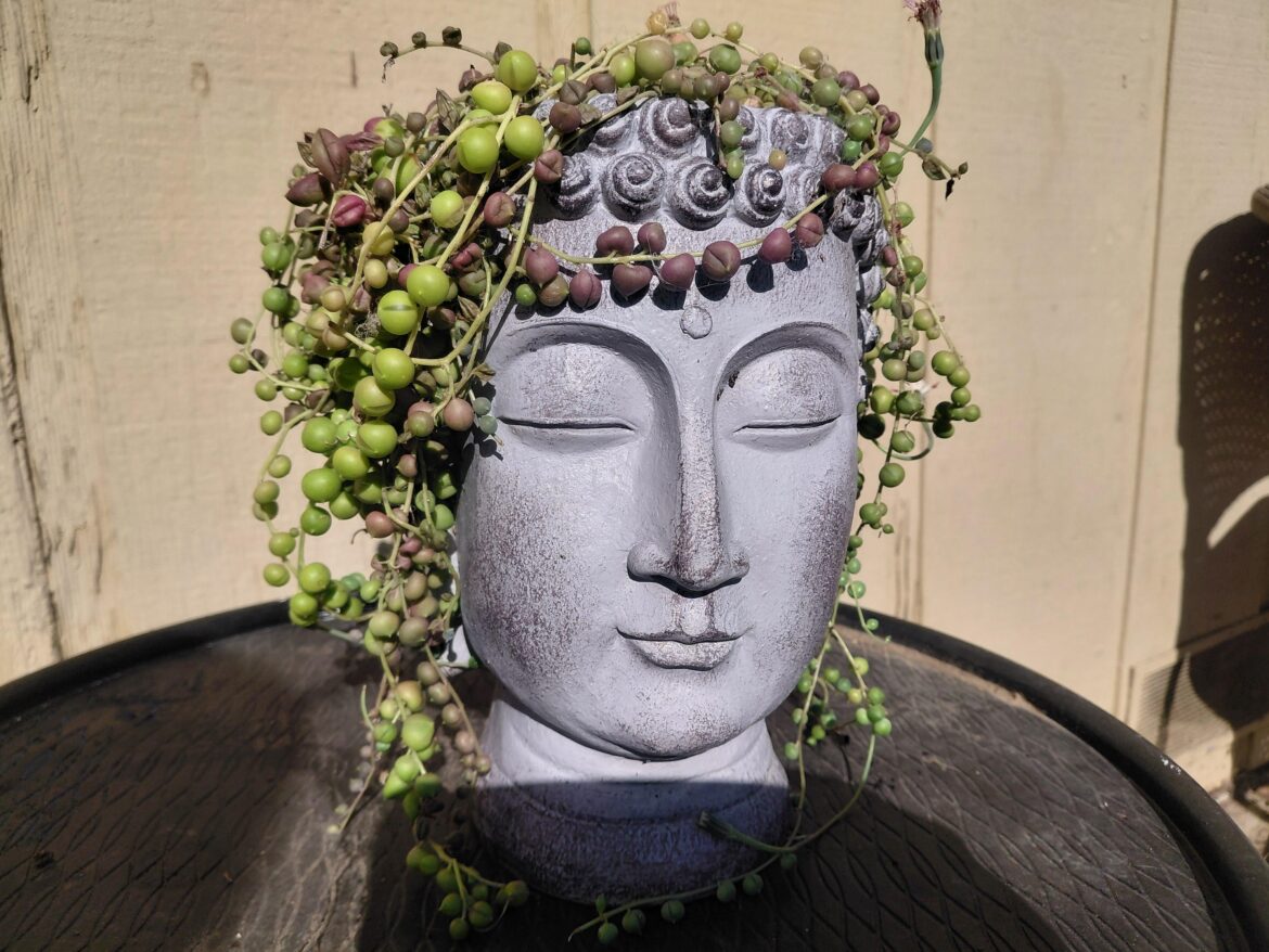 She's rockin' those purple streaks