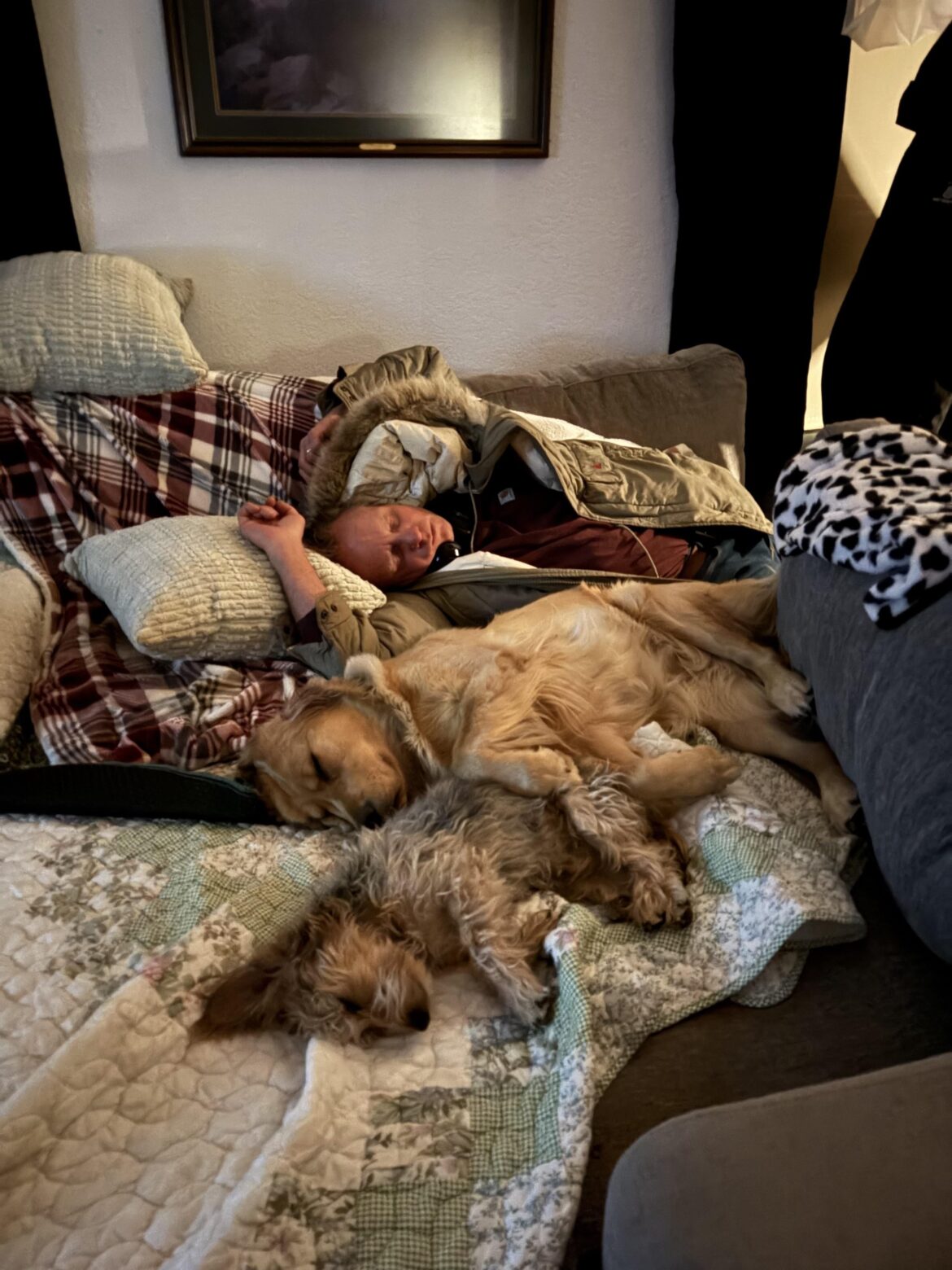 Hard days, sweet nights