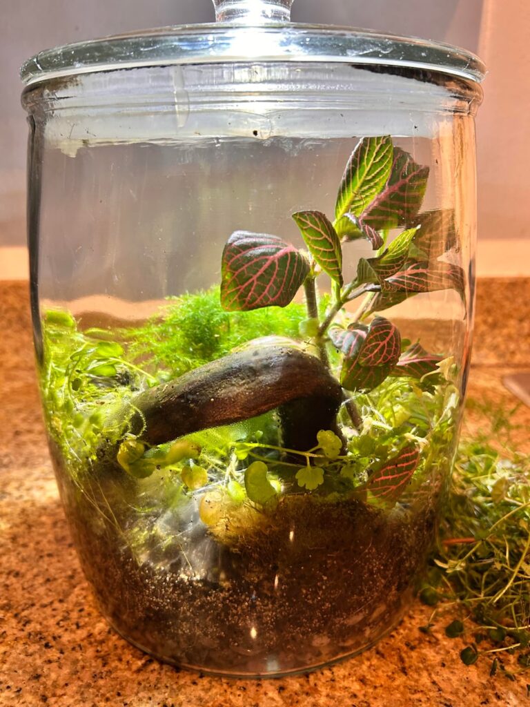 6 month old jar clean up day