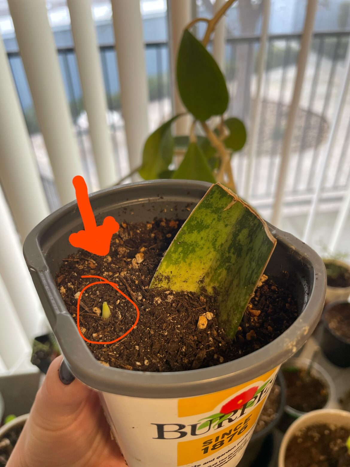 IT WORKED! Now what do I do?