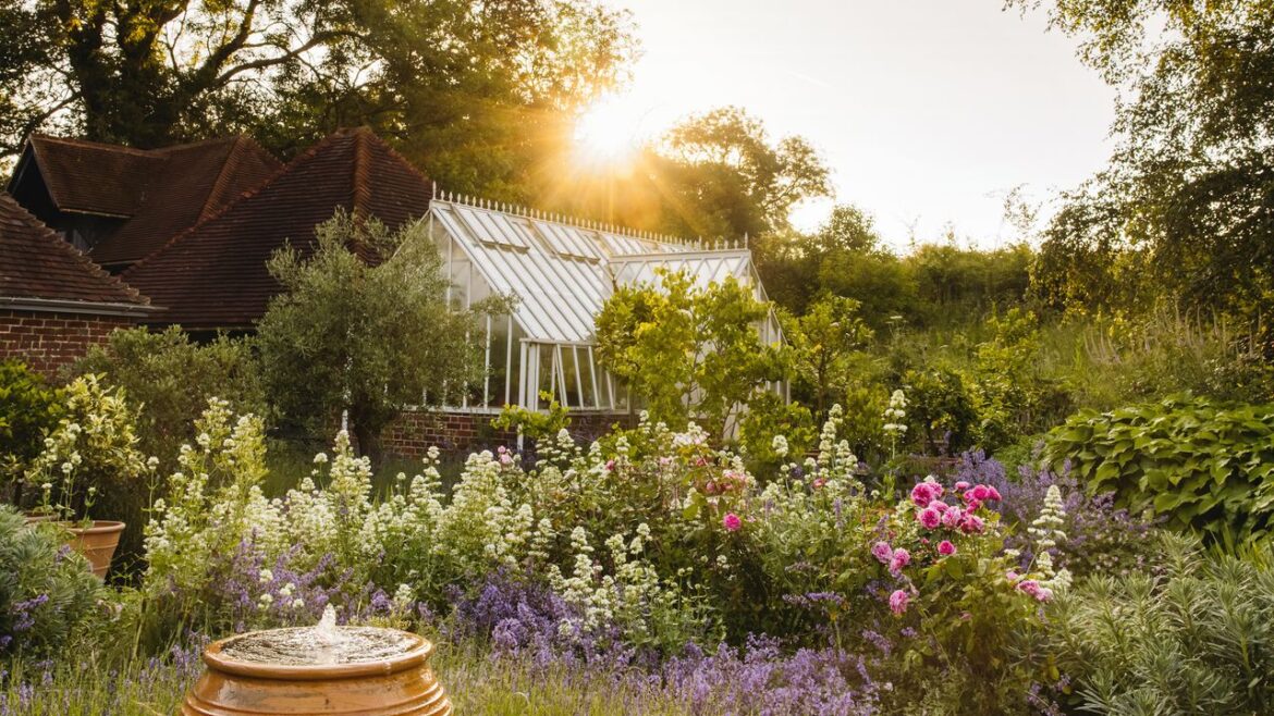A romantic garden in Kent filled with cottage garden plants