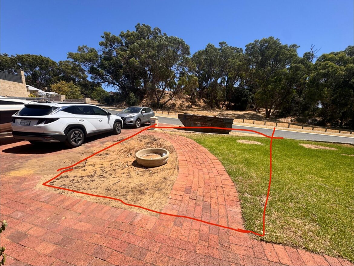 Looking for recommendations for a small tree to fit in this garden bed. Preferably native but open to others!