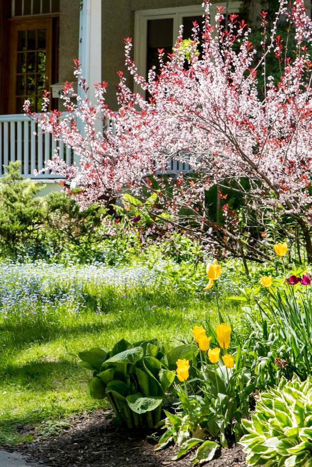 jimfeng / Getty Images