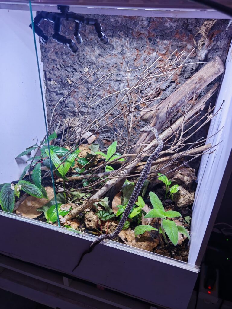 Kinda like shes enjoy it