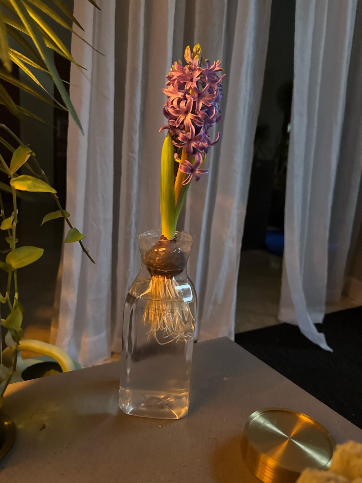 Better than any air freshener…