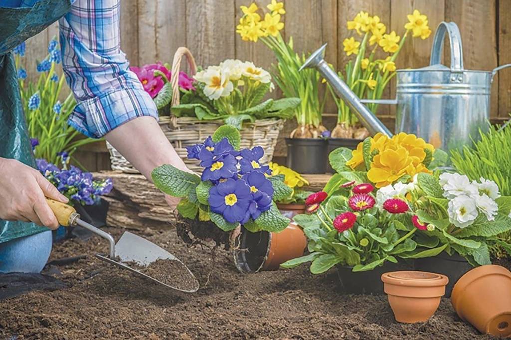 Time to take stock of the Okanagan gardening season (Black Press file photo)