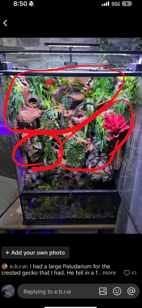 if i put plants on branches/walls in a tank, how can i fertilize them? if i put plants on branches/walls in a tank, how can i fertilize them?