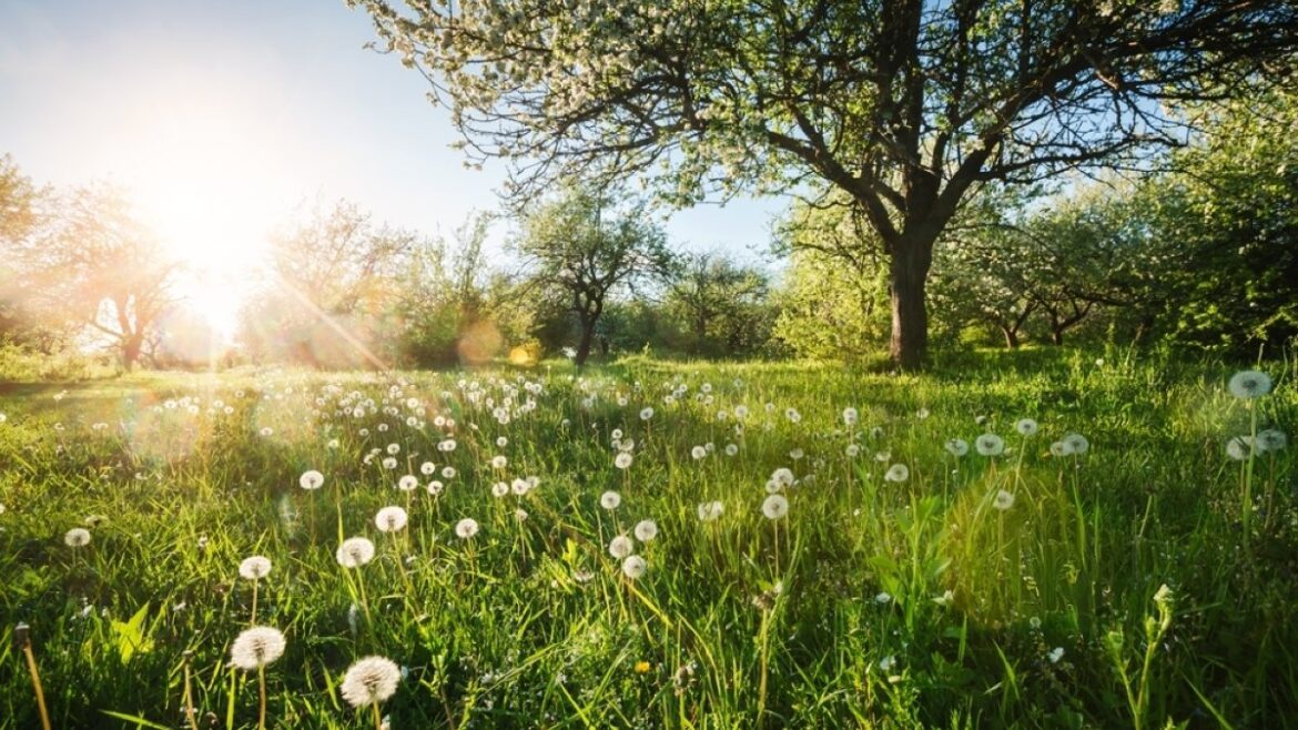Review of 'Death and the Gardener': Novel of unfinished words