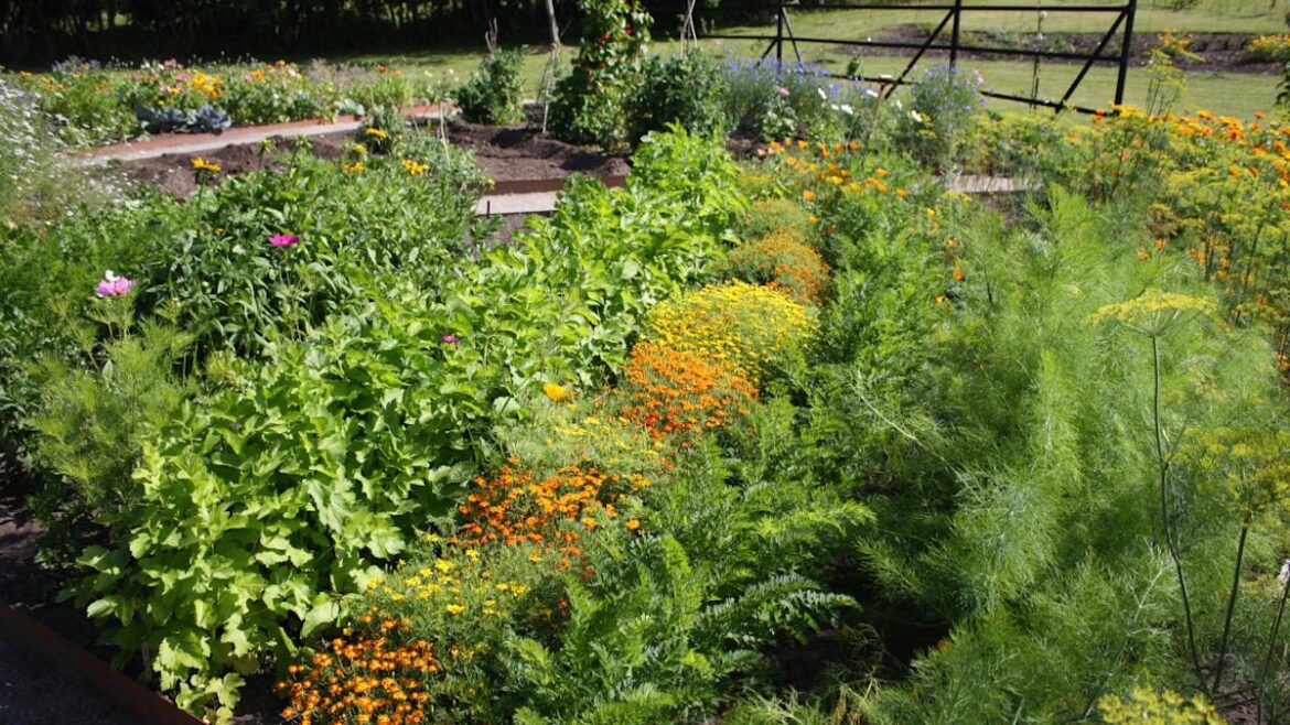 Gardeners Are Using These 4 Hacks to Get Seeds for Free