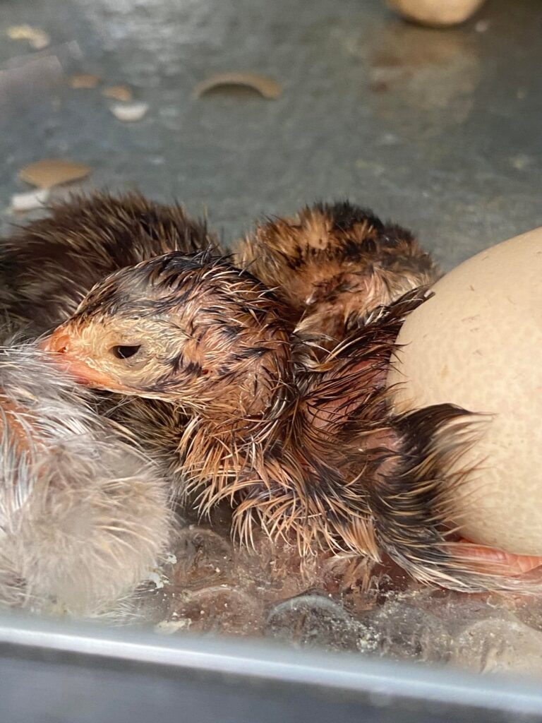 There is always one who doesn’t read the instructions… There is always one who doesn’t read the instructions…