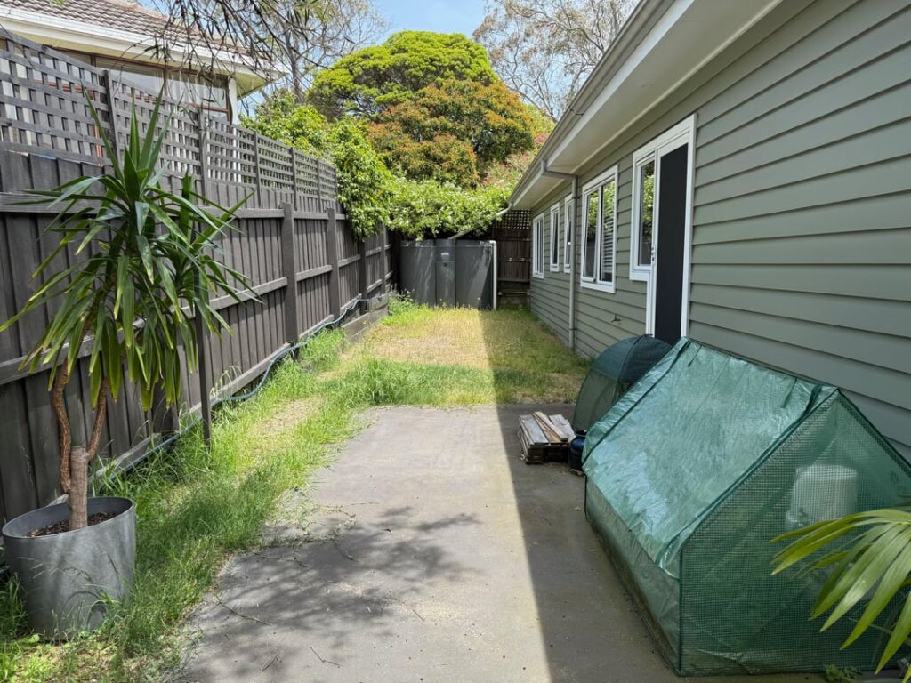 Ideas to transform a sunny, weedy side yard? Ideas to transform a sunny, weedy side yard?