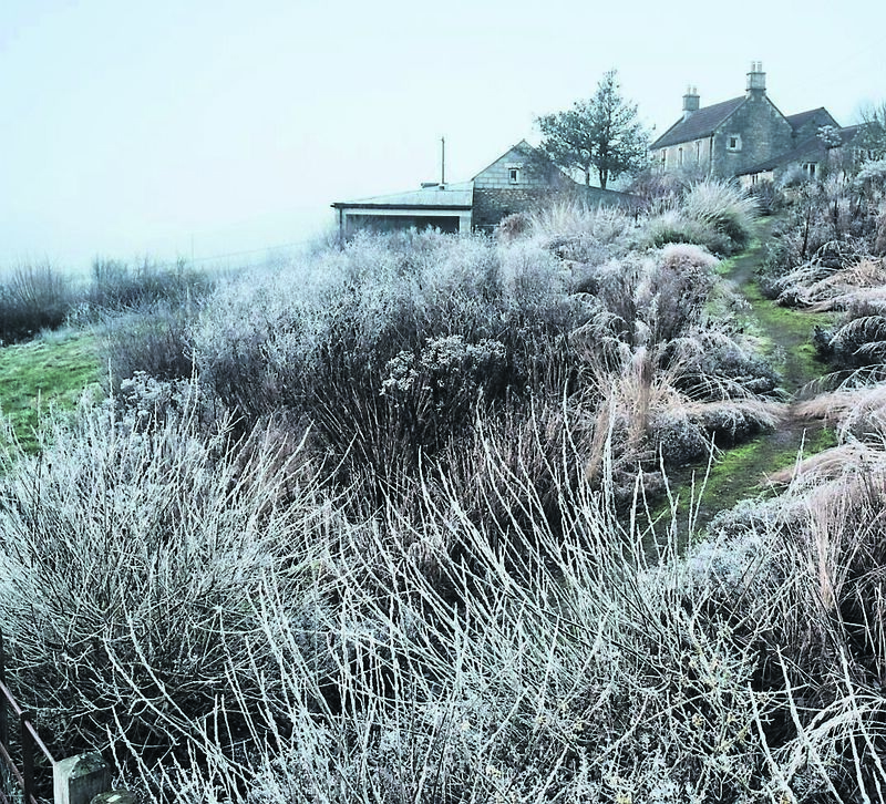 Garden designer Dan Pearson’s sloping perennial garden at Hillside in Somerset, England. Picture: Andrew Montgomery
                    