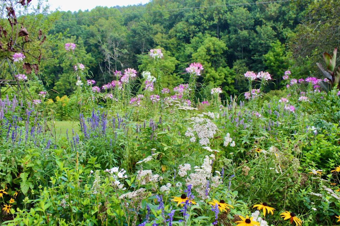 The January Garden Checklist Every Gardener Should Follow (Even When Nothing Is Growing) Yahoo creators home