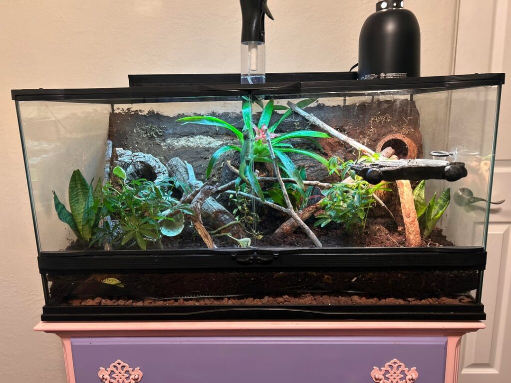 Finished vivarium!