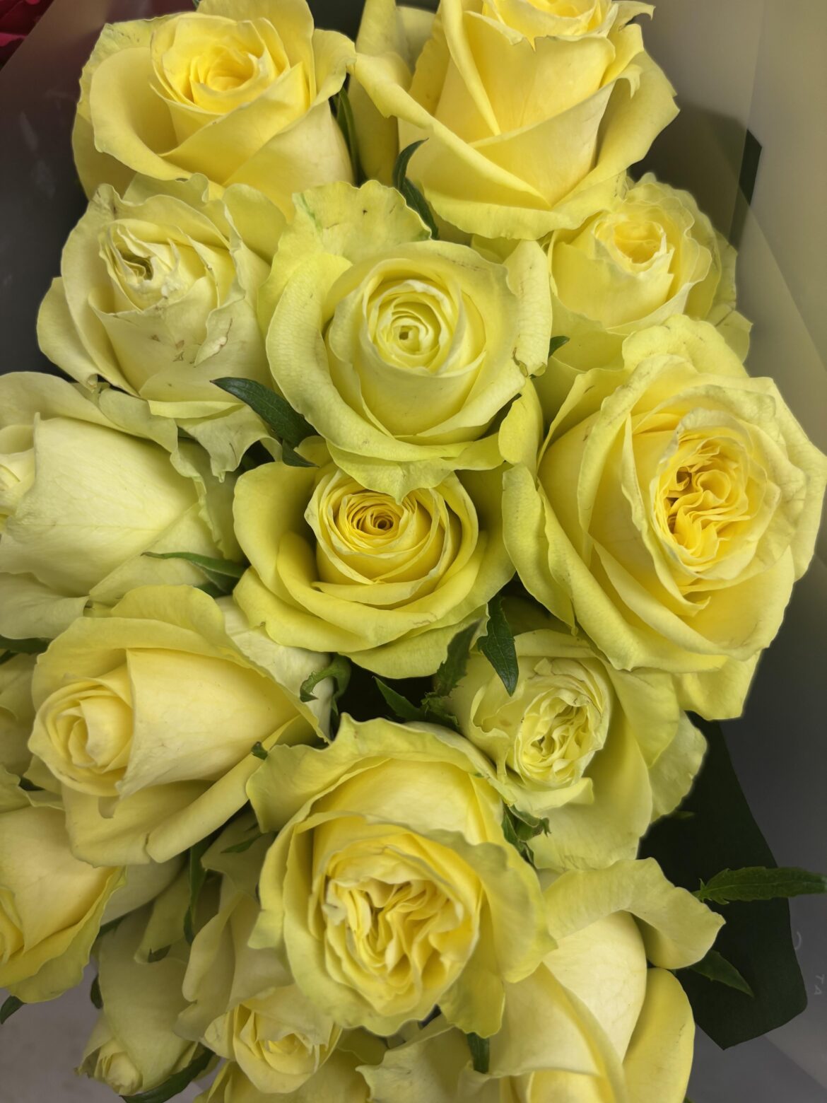 Yellow is so smooth and amazing
