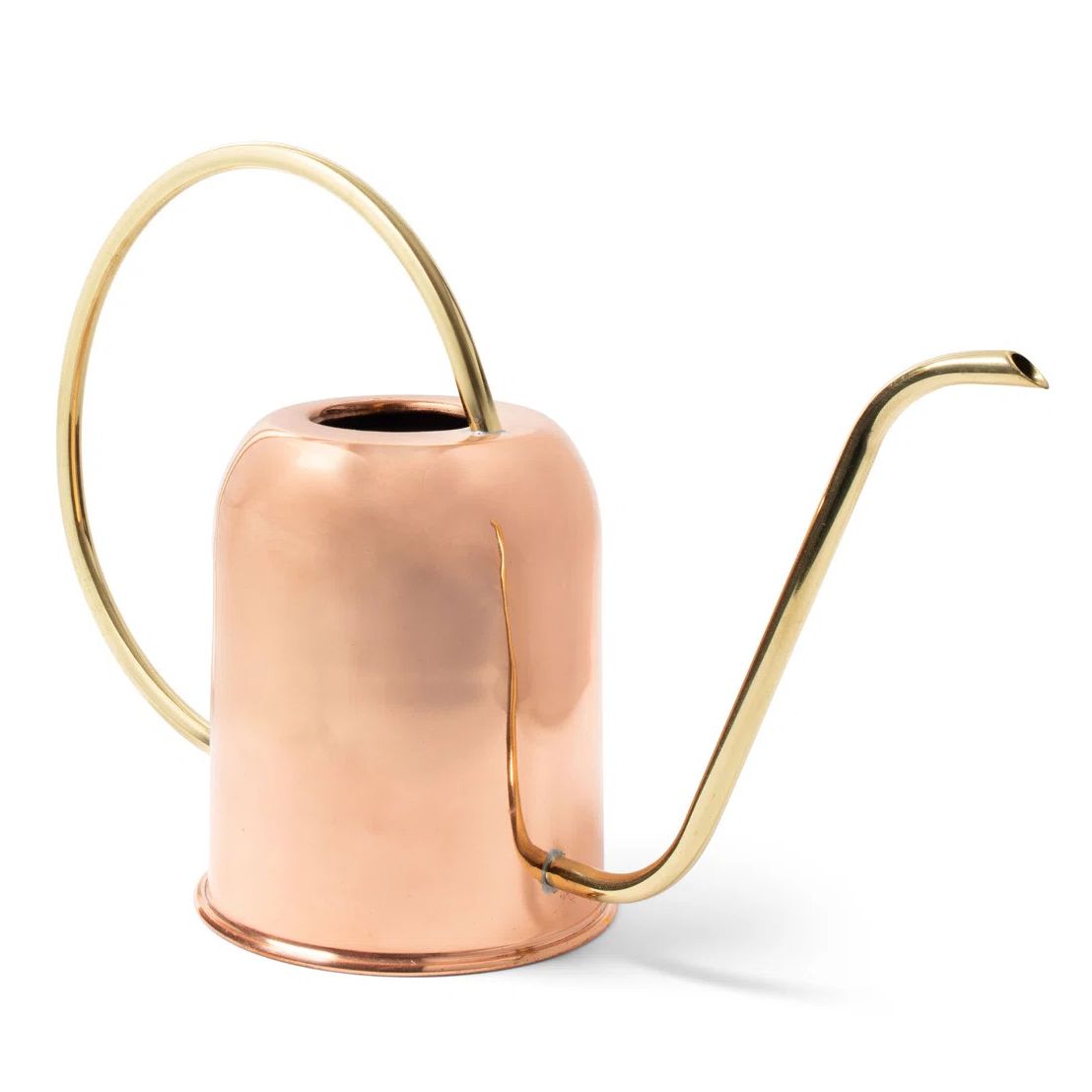 Wayfair copper watering can