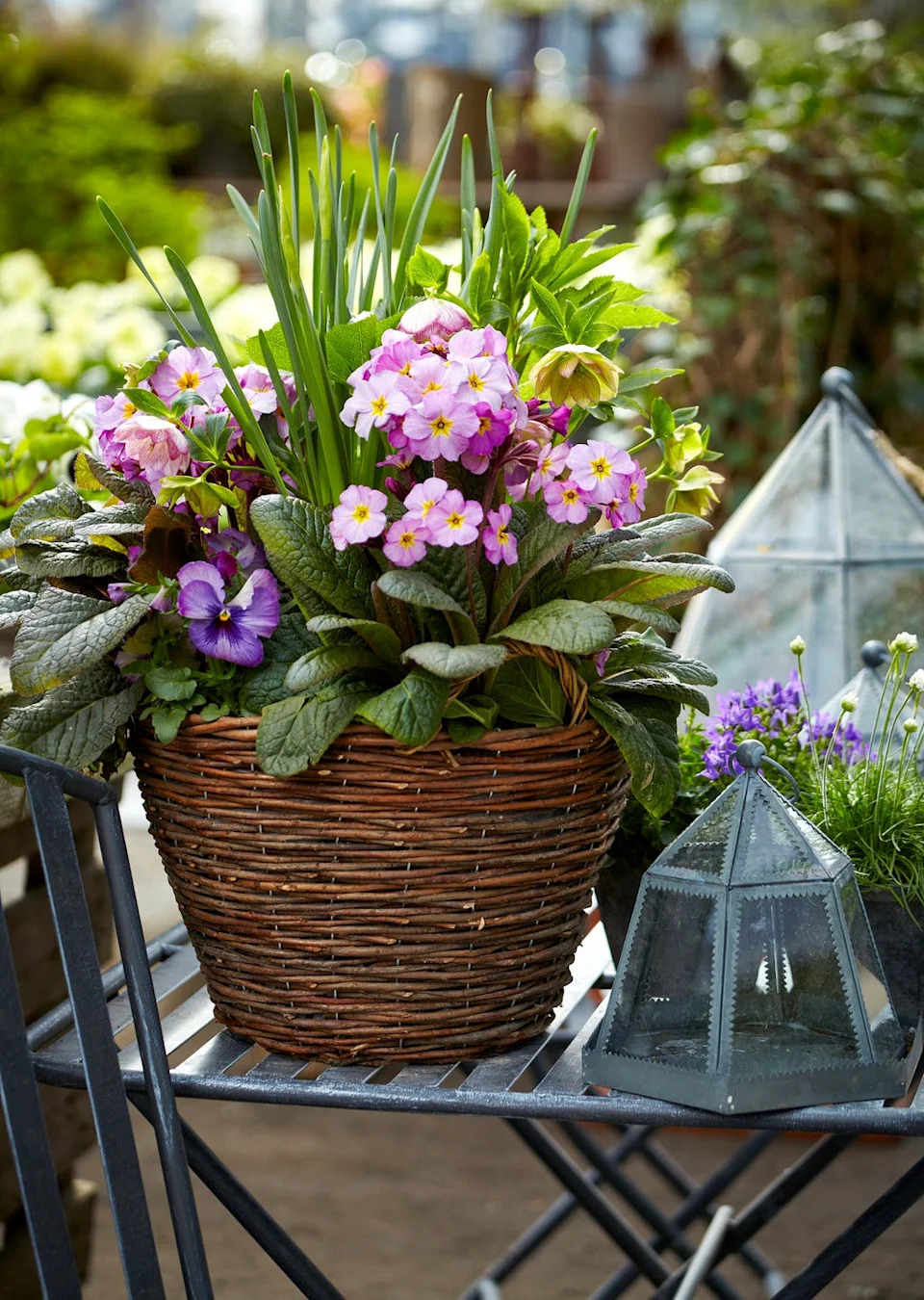 a woven basket filled with various flowers and plants accompanied by a decorative lantern