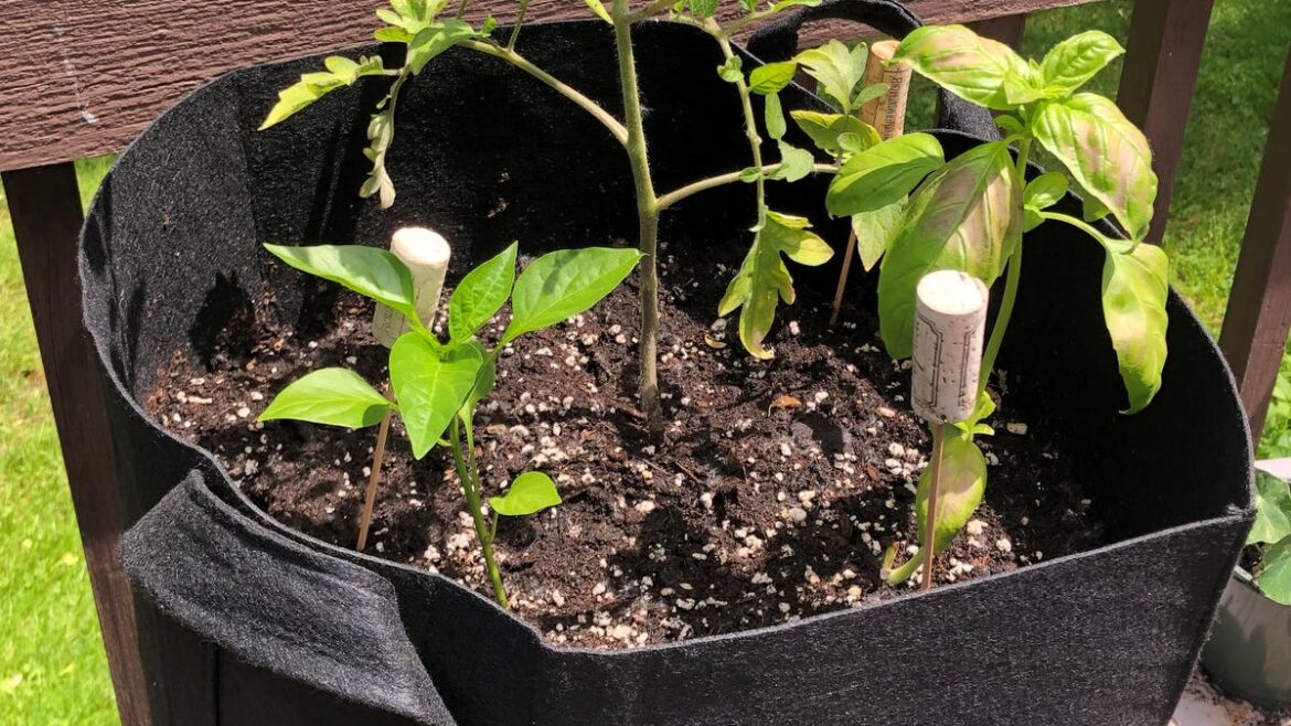 Love gardening? Ontario County’s spring garden symposium is Feb. 21 Love gardening? Ontario County’s spring garden symposium is Feb. 21