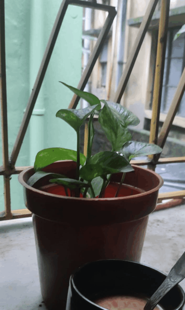 How it started vs how it's going