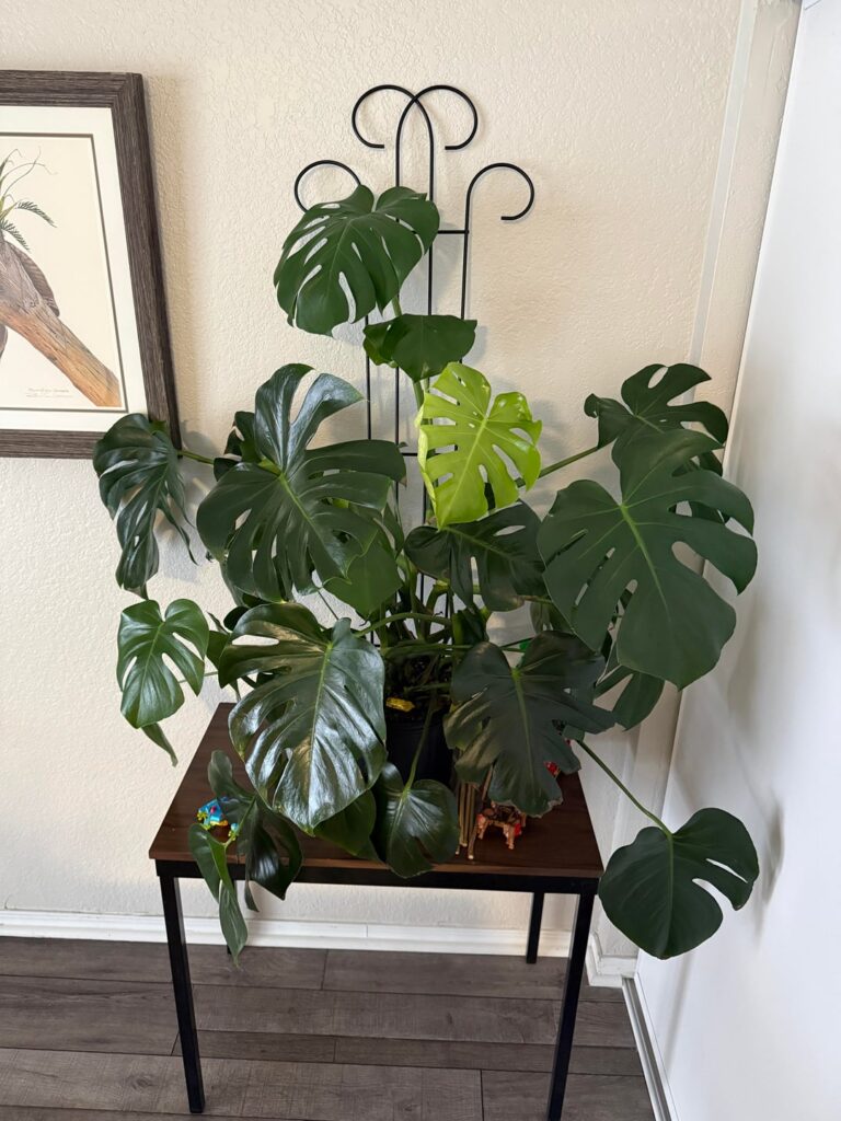 10 month growth 10 month growth