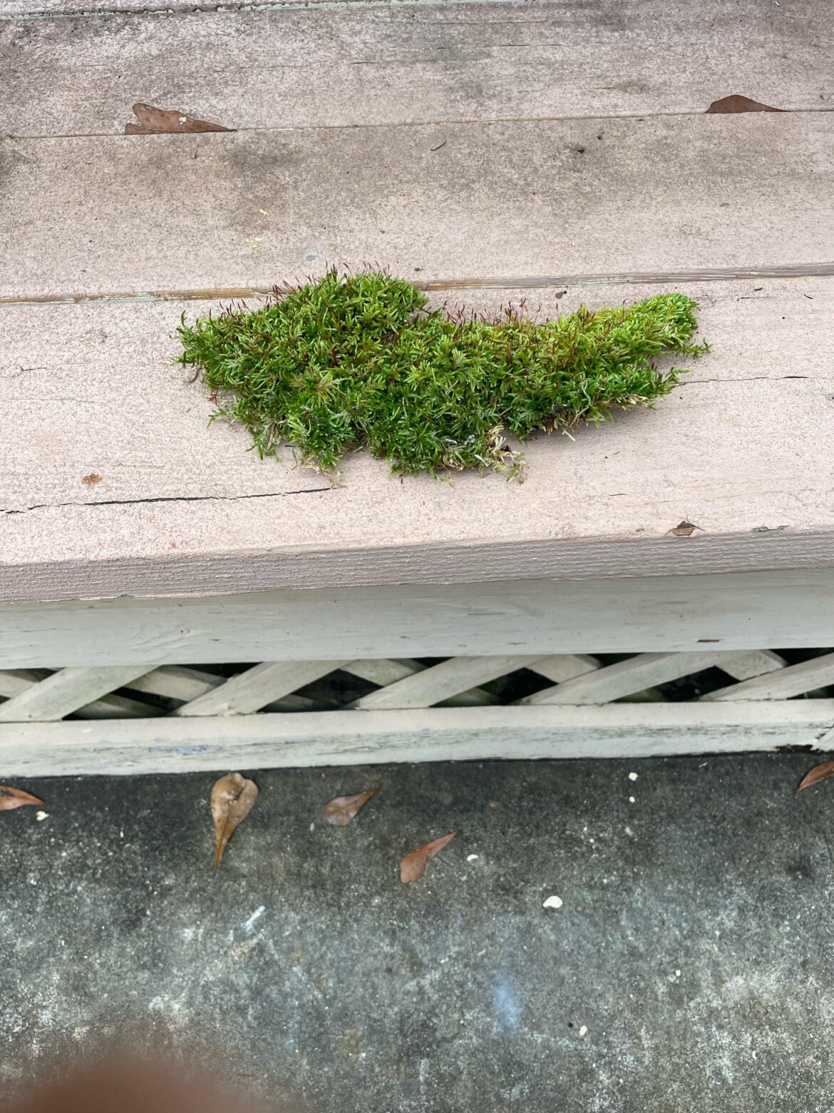 Help with identifying