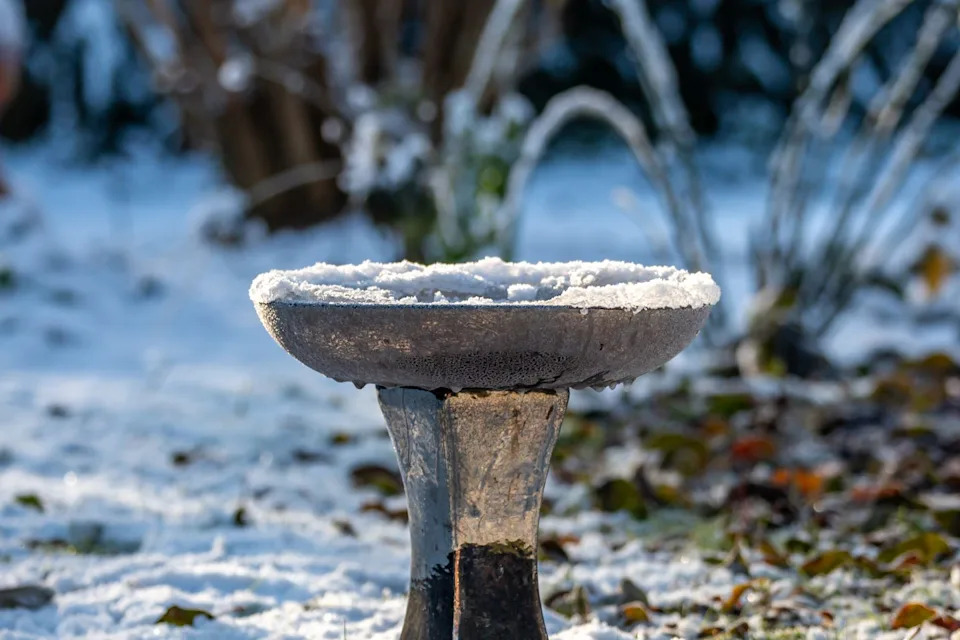 a frozen bird bath in a sussex garden, on a sunny winter's day
