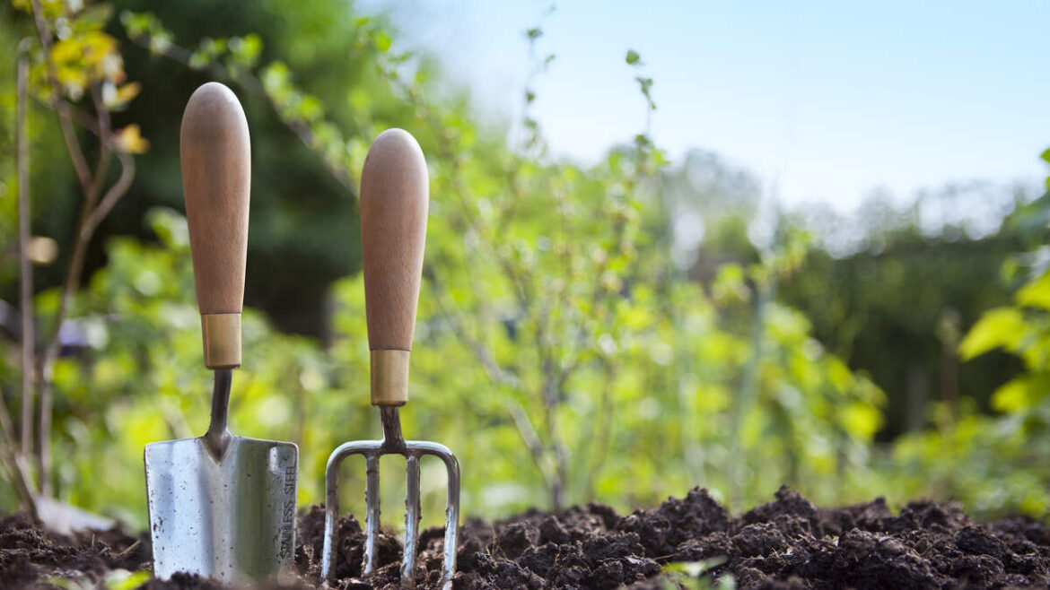 Florida Man Arrested After Gardener Fatally Shot In Random Ocala Attack | NewsRadio WFLA Florida Man Arrested After Gardener Fatally Shot In Random Ocala Attack | NewsRadio WFLA